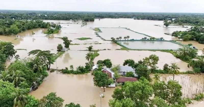 Agricultural Rehabilitation is Needed to Recover from Flood Damage