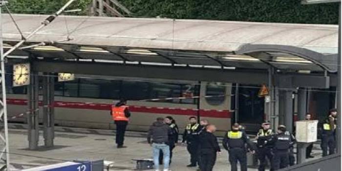 A knife attack on a German railway station was injured