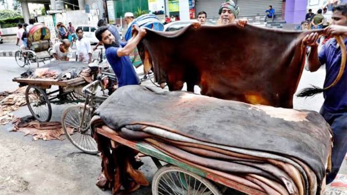 Rawhide market disappoints again as prices fail to cross Tk1,000 mark