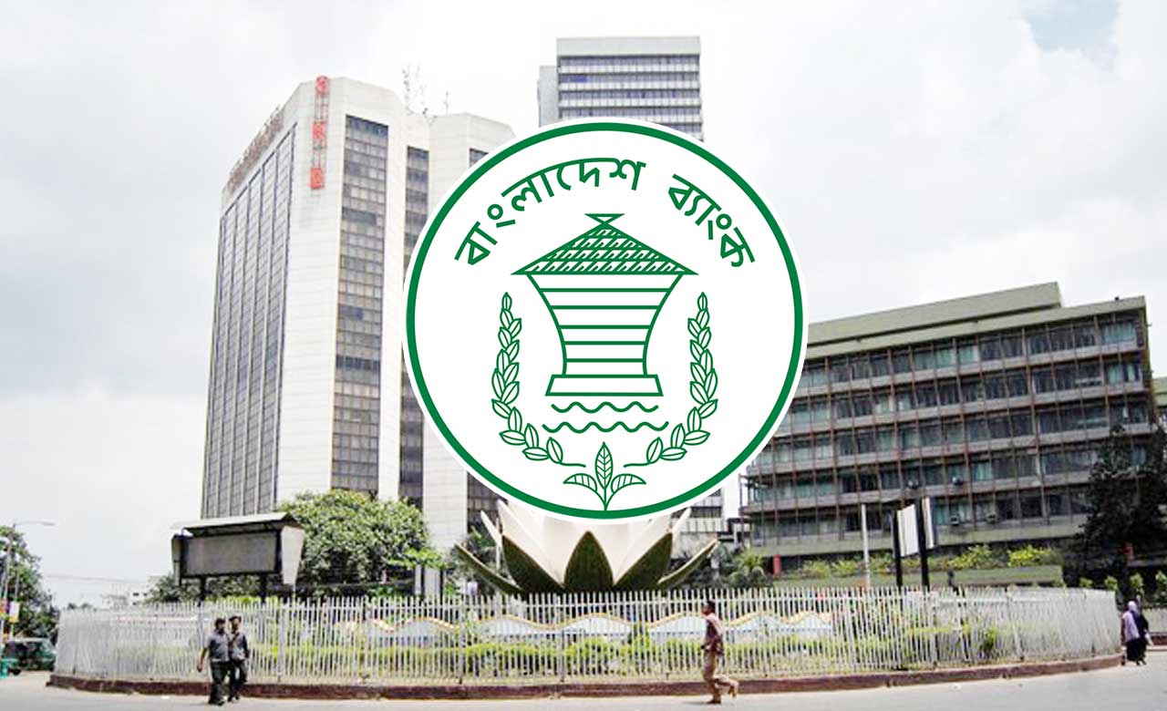 Record remittance inflow boosts forex reserves