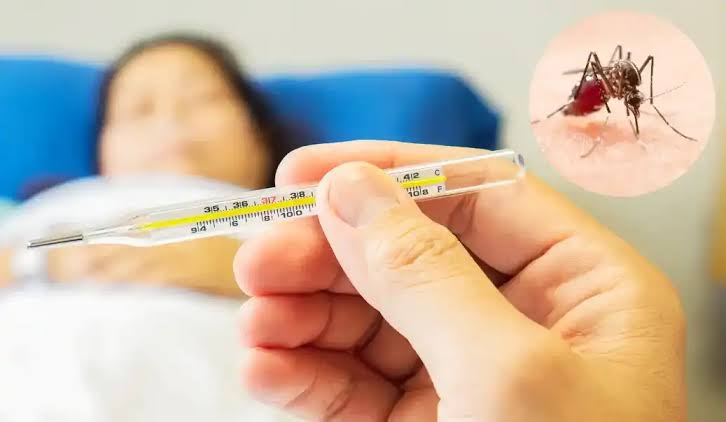 Dengue: 3 more die, 425 new cases recorded in 24hrs
