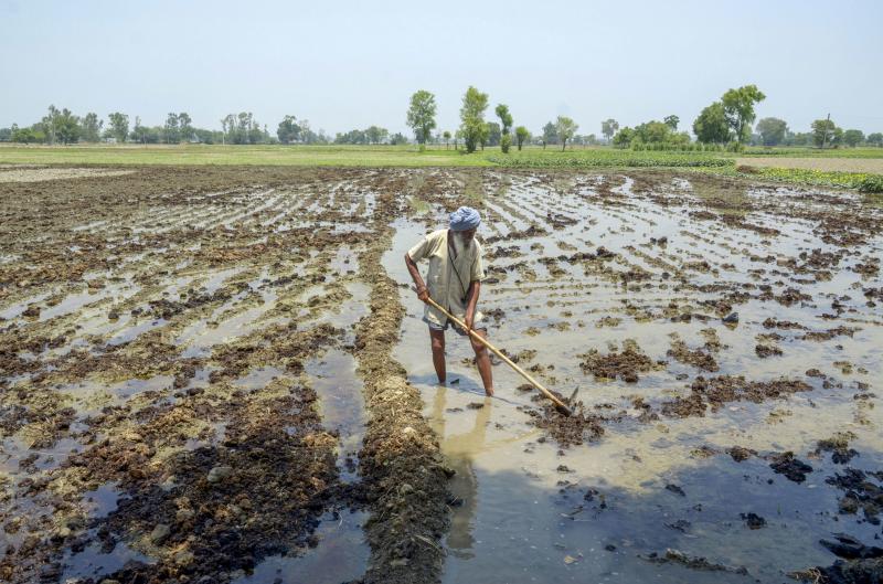 Climate Change Threatens Bangladesh’s Agriculture in 2025