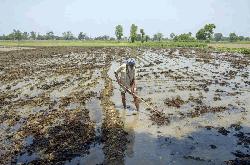 Climate Change Threatens Bangladesh’s Agriculture in 2025