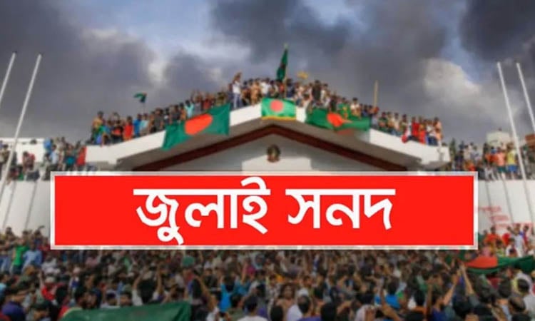 24 parties including BNP, Jamaat, NCP submit their opinions on draft of July Charter